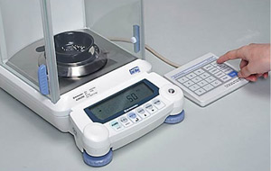 p1.jpg