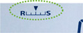 p13.jpg
