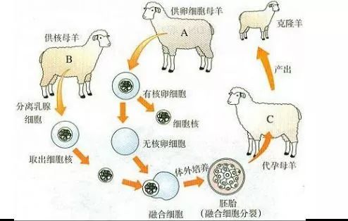 微信图片_20190821113655.jpg