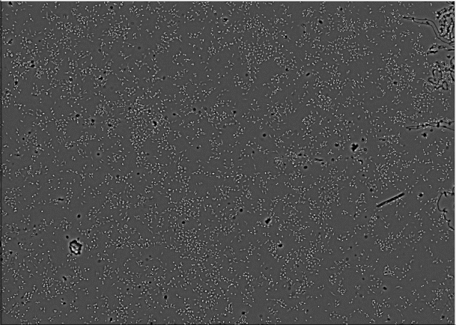 5e074dcd0acc8950670a98d073aaf4109893.gif