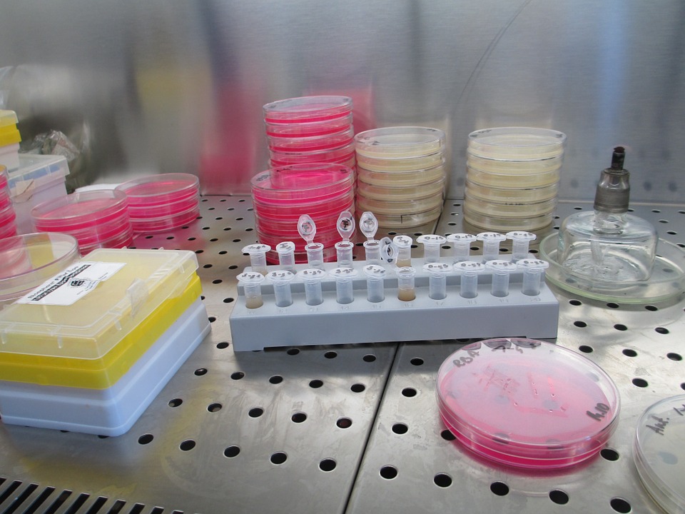 laboratory-829371_960_720.jpg